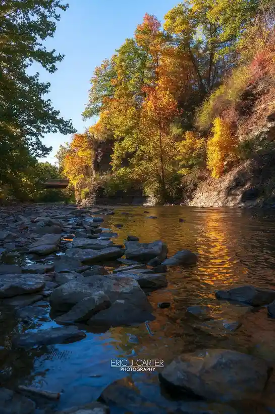 A serene autumn river scene with rocks in the foreground, clear water reflecting golden and orange foliage on steep banks…