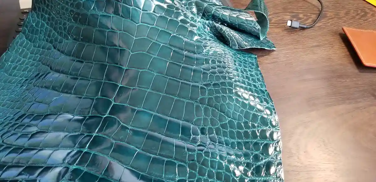 A close-up photo shows a large, shiny, teal-colored crocodile leather hide with a distinct scale pattern, draped on a wooden…