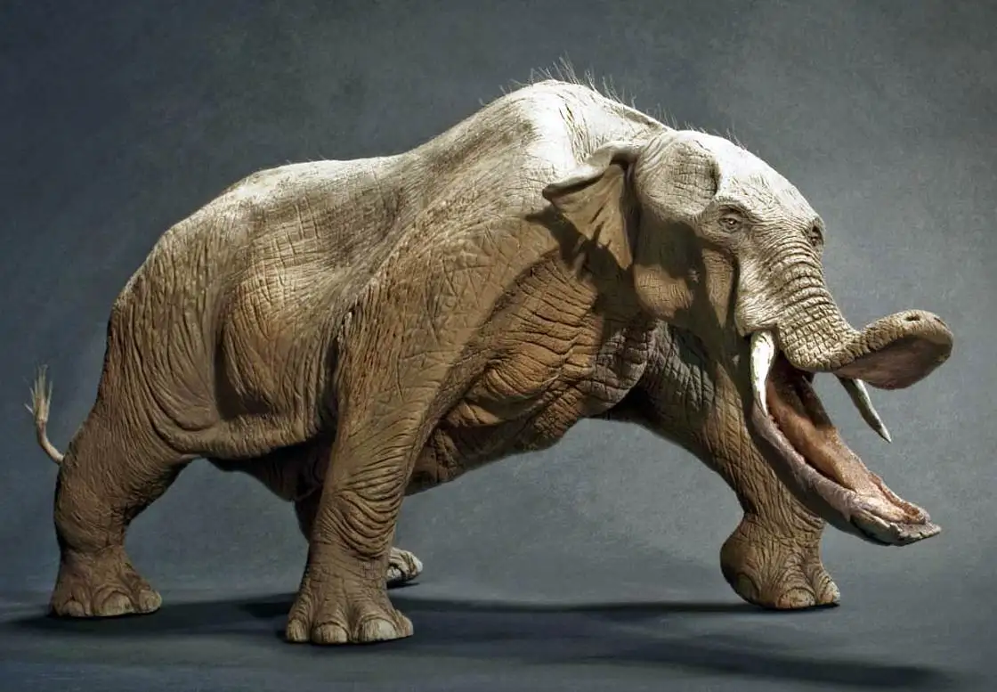 A digitally manipulated image shows a single elephant with its body split vertically down the middle, revealing a second…