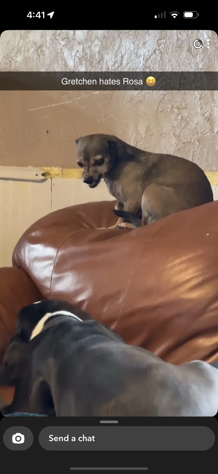 A Sisterly Surprise: She's Not Thrilled About Her New Sibling