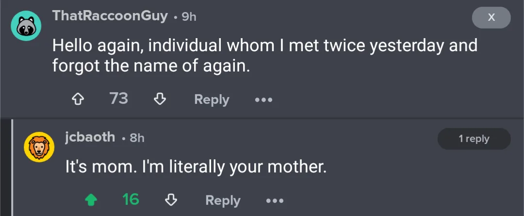 A screenshot of a Reddit comment thread shows a user named 'ThatRaccoonGuy' asking for a name of someone they met twice and…