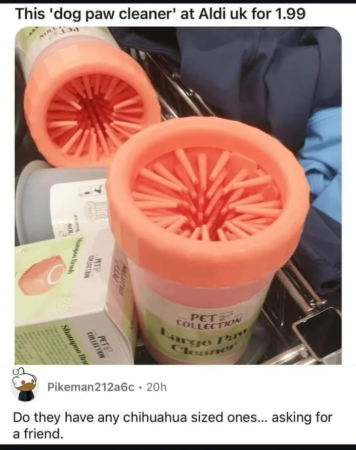 The image shows two orange plastic containers with bristle brushes inside, labeled 'PET COLLECTION Large Paw Cleaner'…