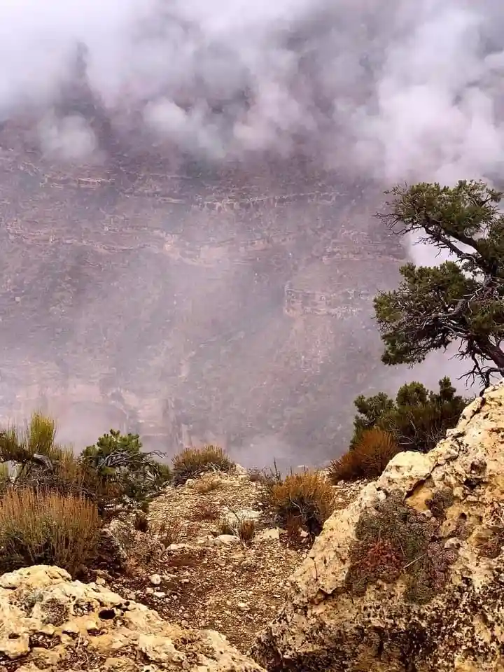 A misty, rocky canyon landscape with sparse vegetation and a lone tree on the right, viewed from a high vantage point. The…