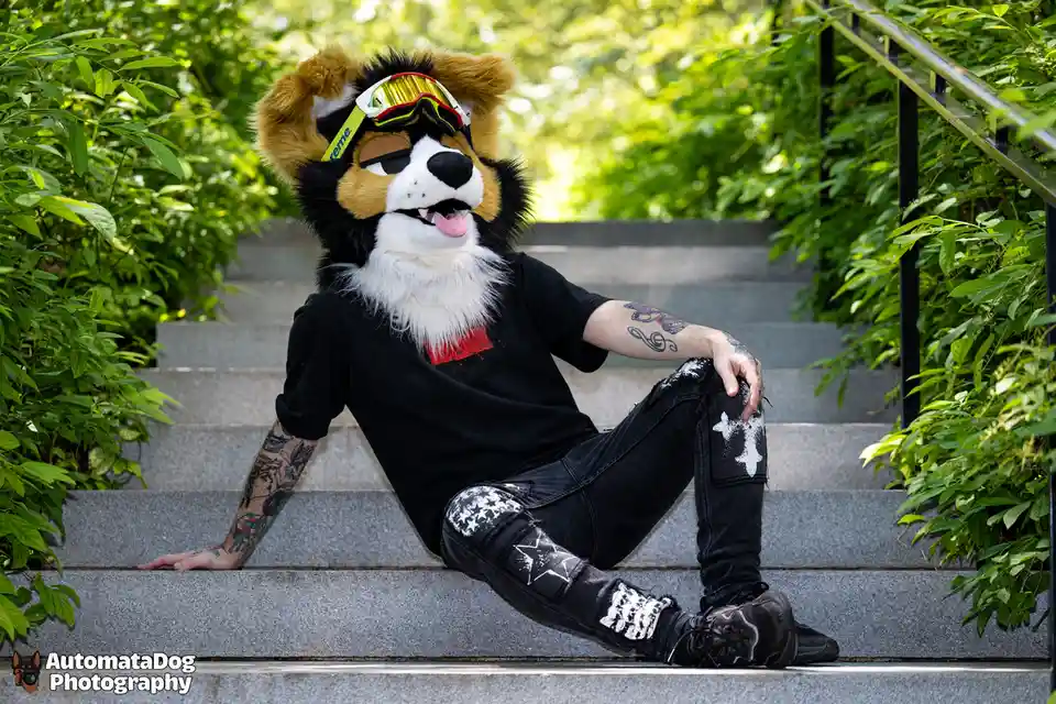 A person in a detailed black, tan, and white dog fursona costume sits casually on outdoor stone steps, wearing ski goggles…