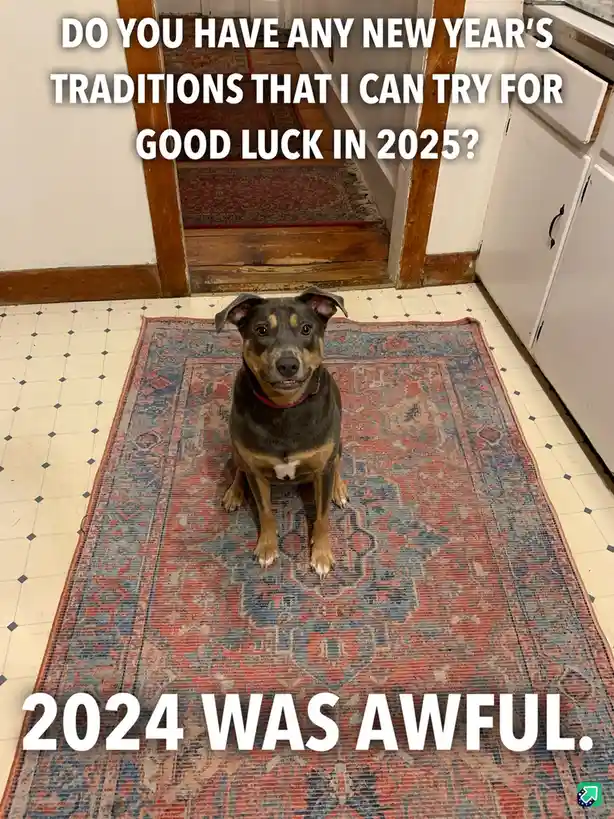 A black and tan dog with a red collar sits attentively on a patterned rug in a kitchen, looking up at the camera. White text…