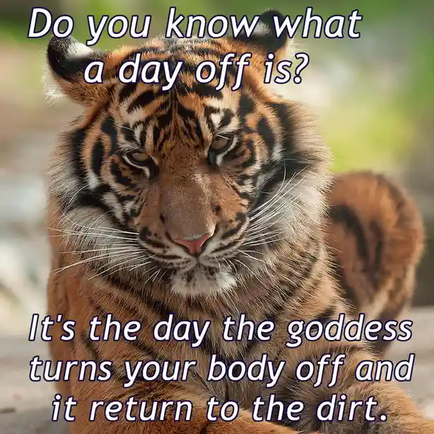 Eternal Vigilance is Key