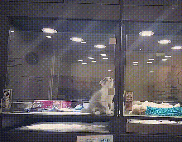 Absolutely adorable!