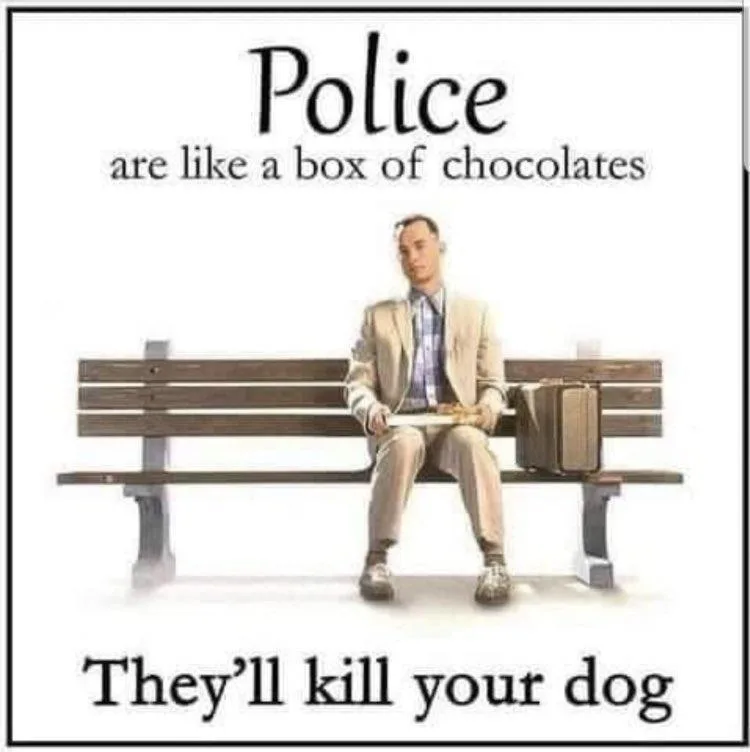 A man in a beige suit sits on a wooden bench holding a box of chocolates, with a suitcase beside him. The text overlaid on…