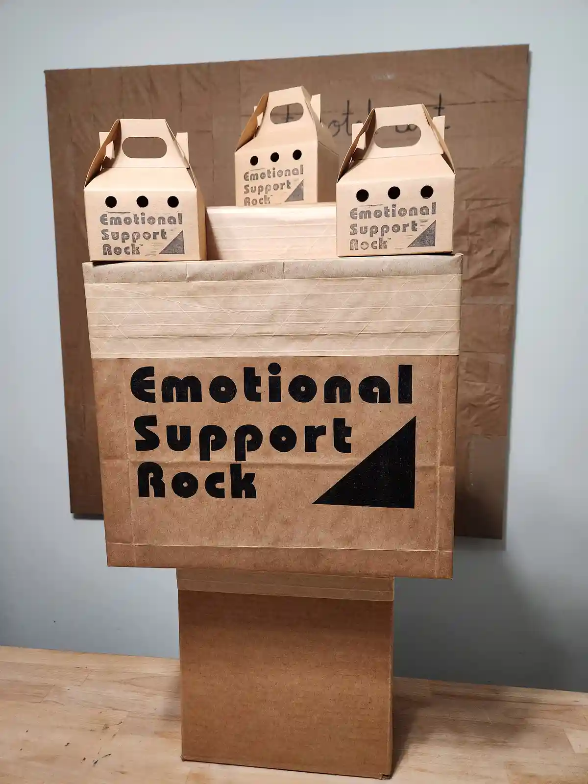 Meet Your New Best Friends: Emotional Support Rocks