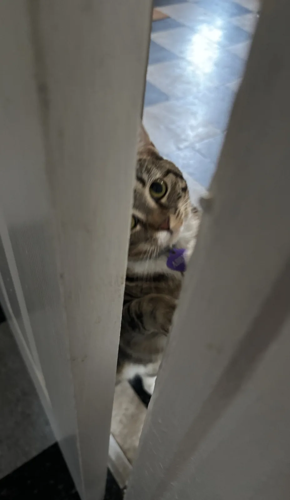 Are You Taking Your Sweet Time in There?