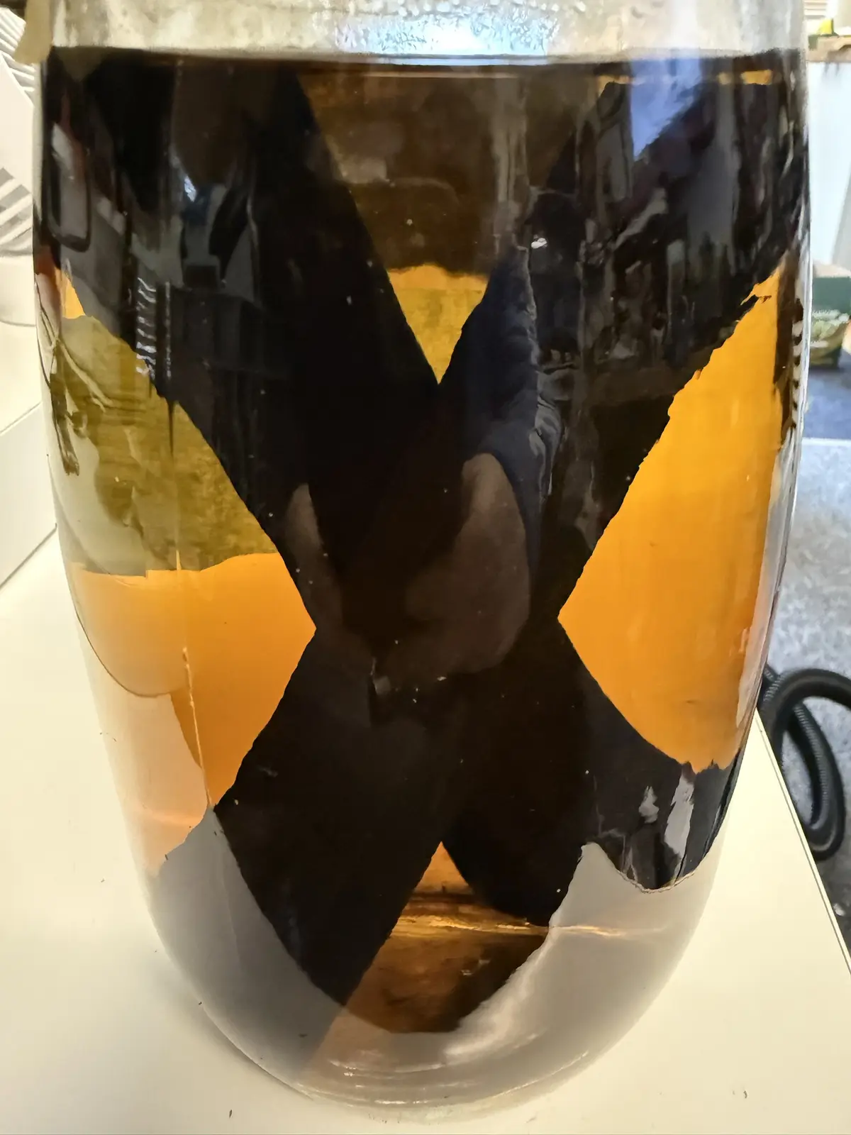 A close-up of a glass jar filled with a dark liquid, showing a large, faded black 'X' painted on its surface, with orange…