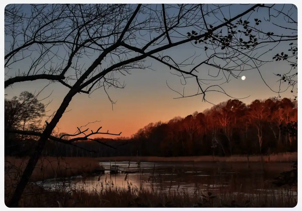 A serene twilight landscape featuring a calm lake, silhouetted bare tree branches in the foreground, and a gradient sky…