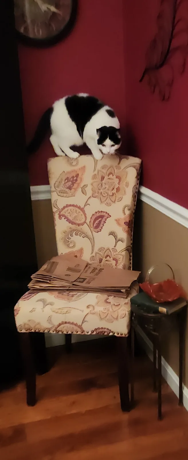 A black and white cat is perched on the backrest of a floral-patterned upholstered chair, looking down at a stack of…