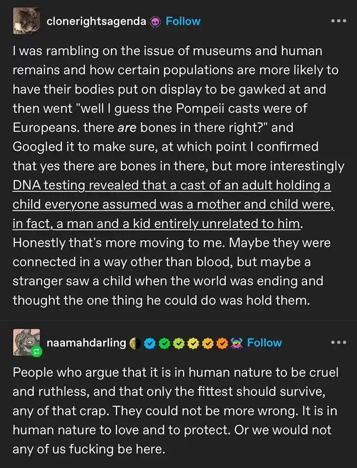 A screenshot of a social media post where the user recounts googling to confirm if Pompeii casts contain bones, then…