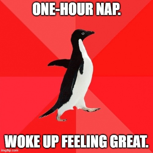 A black-and-white penguin stands upright against a red background with diagonal stripes. White bold text at the top reads…