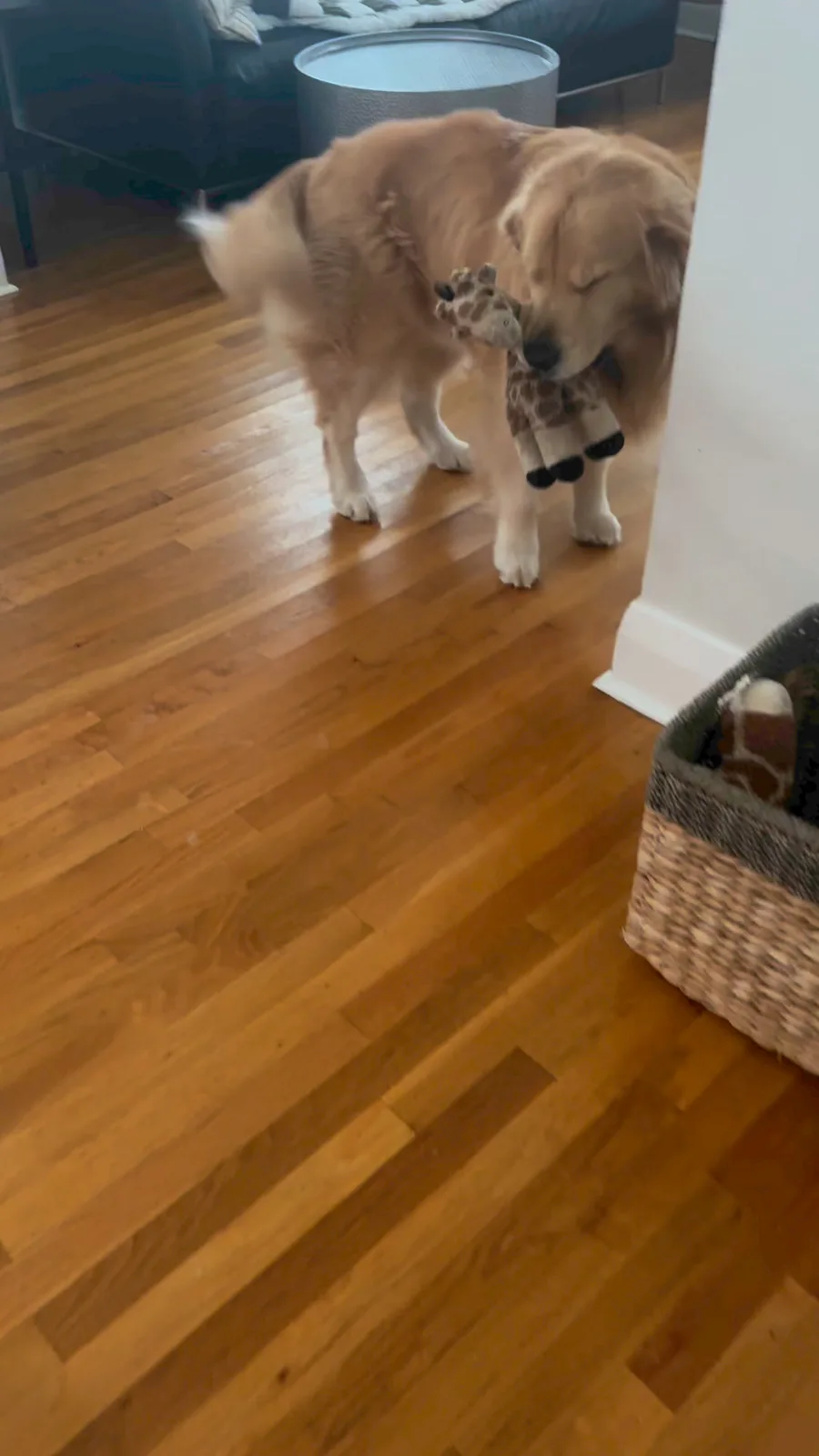 Kevin Has Joined the Imgur Community!