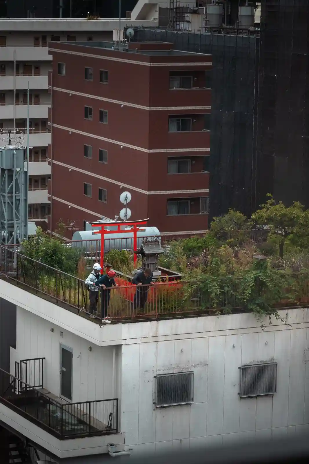 three construction workers in hard hats are leaning over a railing on a rooftop, looking down at a small red torii gate and…