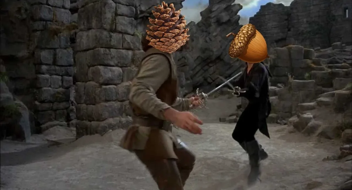 Two medieval-style fighters are engaged in a sword fight in a stone-walled ruin, but their heads have been replaced with a…