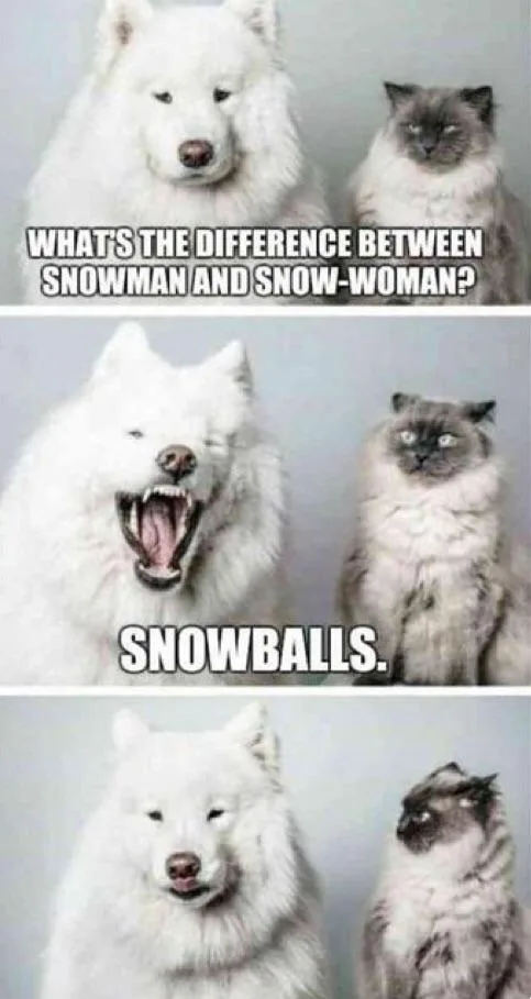 Let the snowball fight begin!