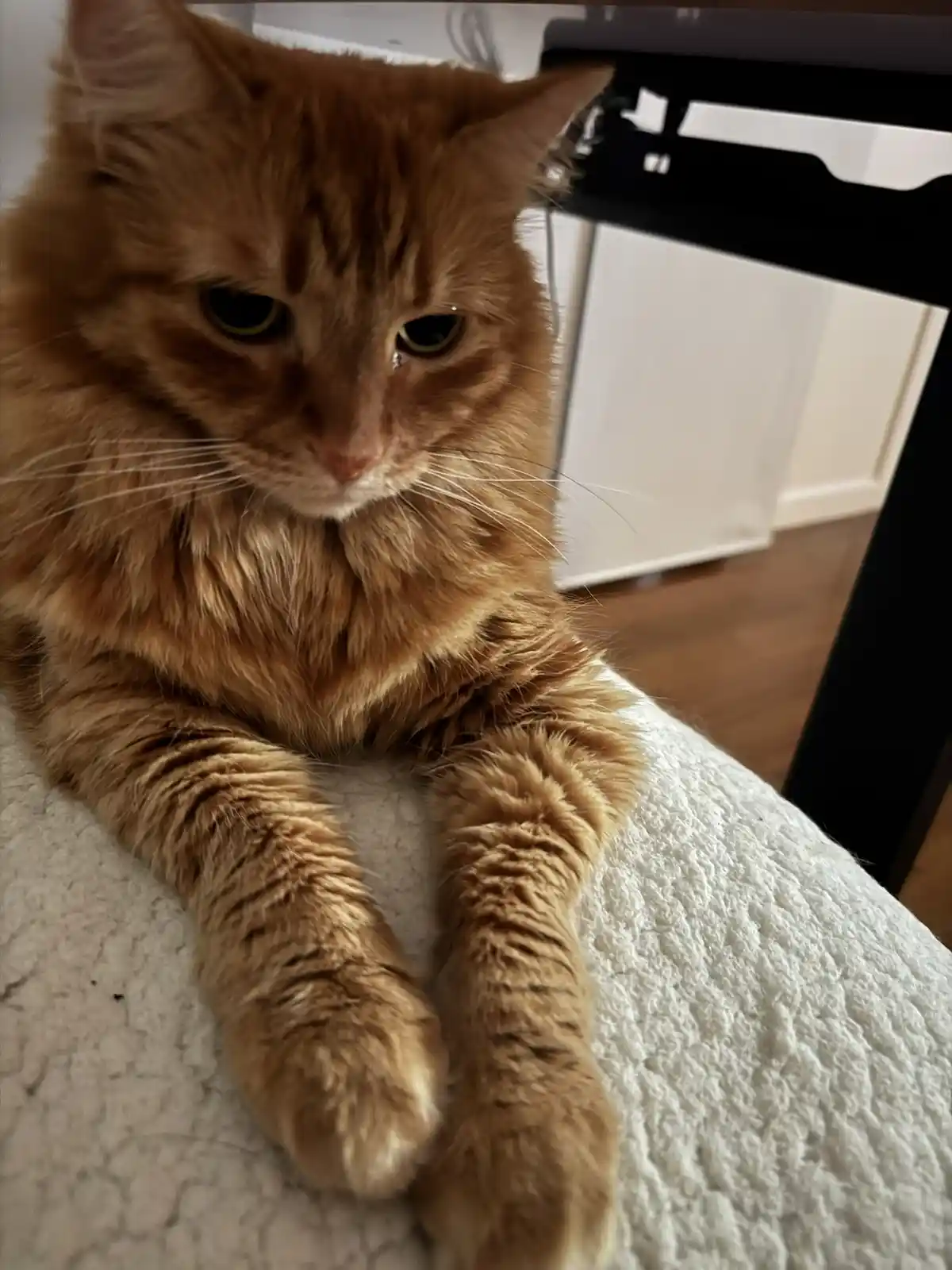 Toph's Journey: Day 131 and Counting