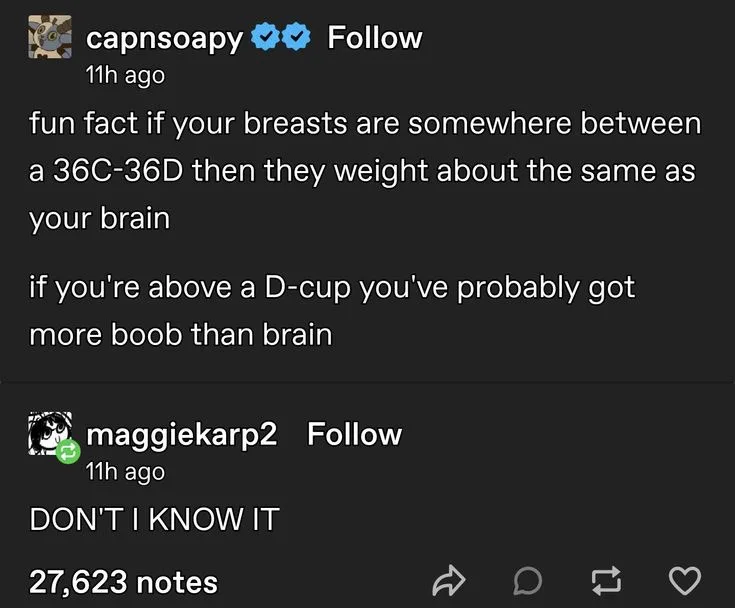 A screenshot of a social media post showing a user named 'capnsoapy' sharing a 'fun fact' that breasts in the 36C-36D range…