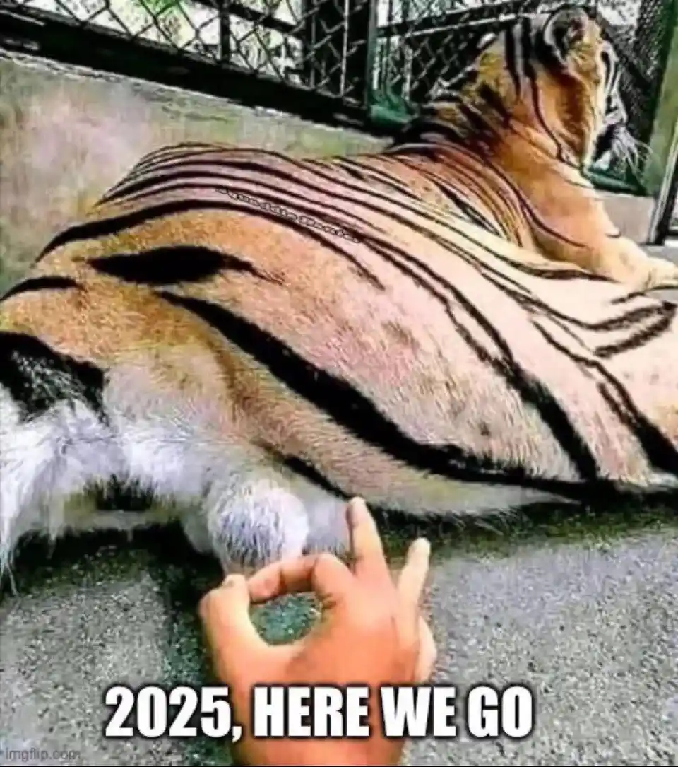 A tiger is lying down in an enclosure, viewed from behind, with a human hand in the foreground making an 'okay' gesture near…