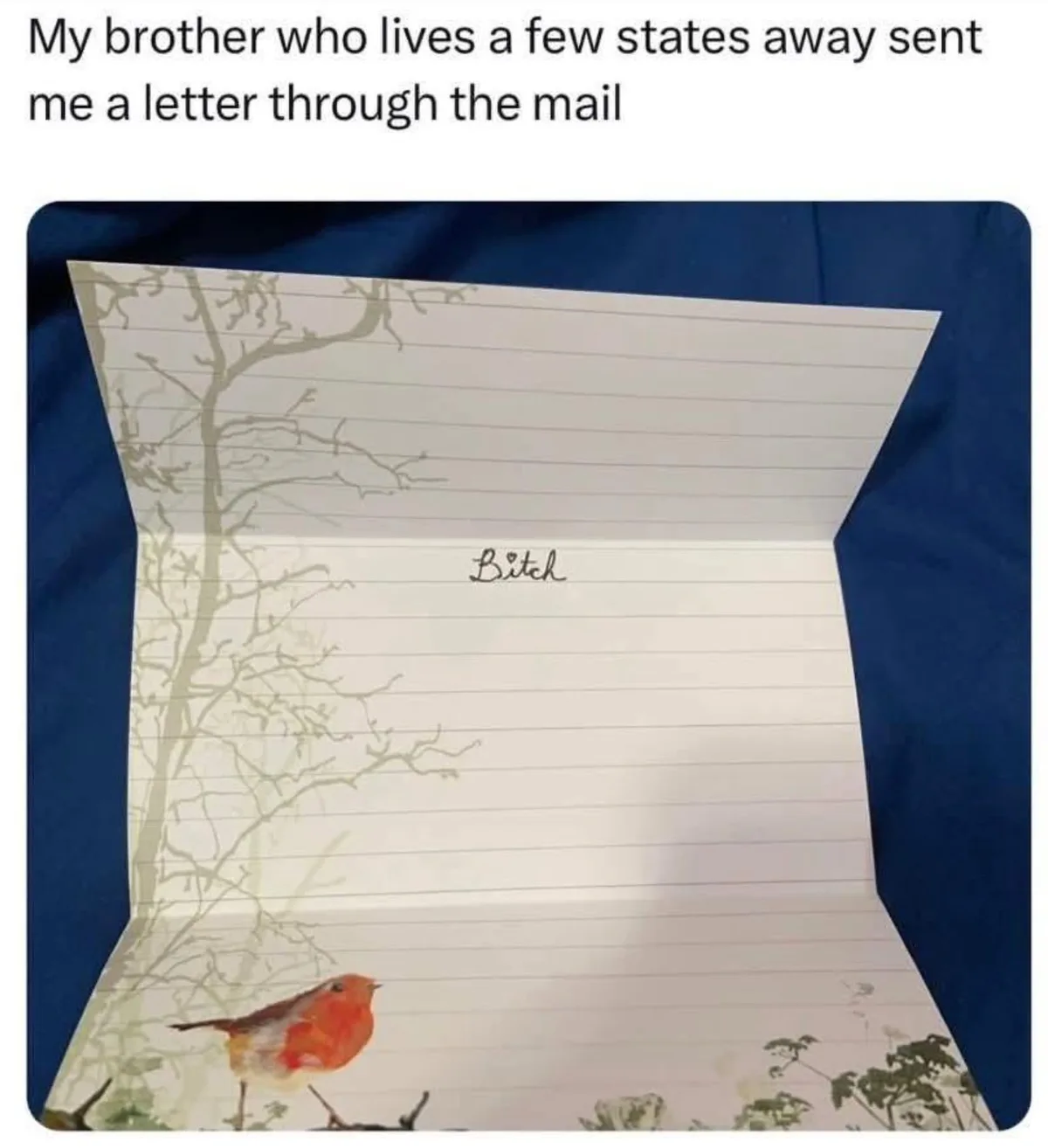 A folded letter with lined paper and a nature-themed design featuring a red bird and tree branches is shown open, revealing…