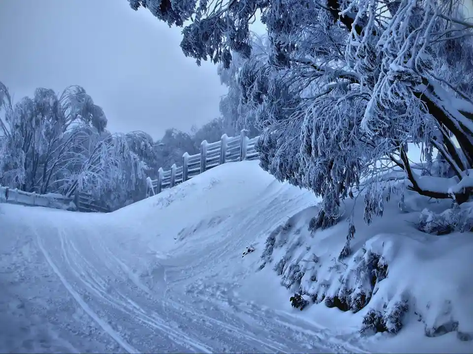 Unusual Winter Wonders: Snowfall in Australia