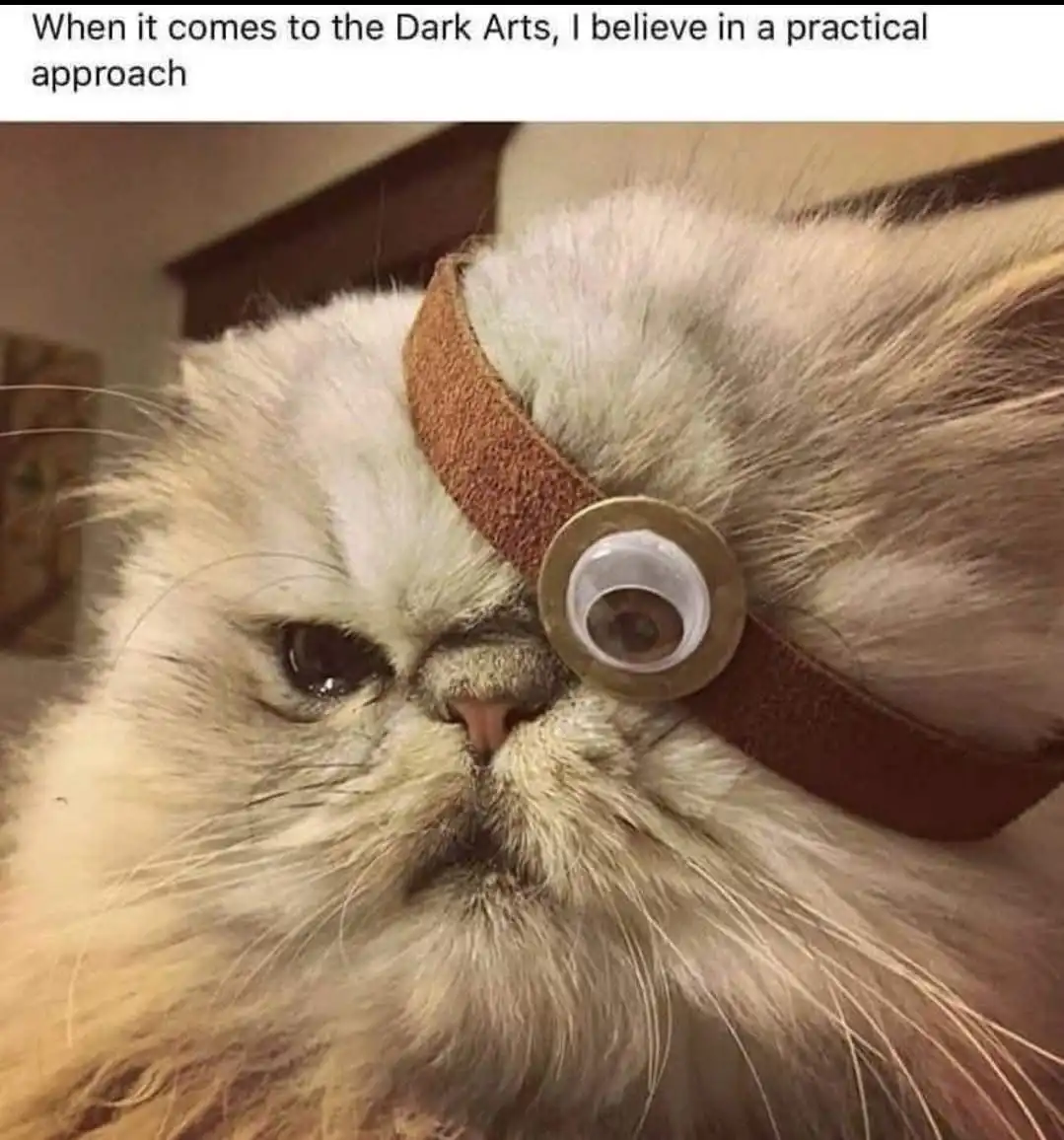 A close-up of a fluffy, light-colored cat with a stern, unimpressed expression, wearing a brown leather strap over its right…