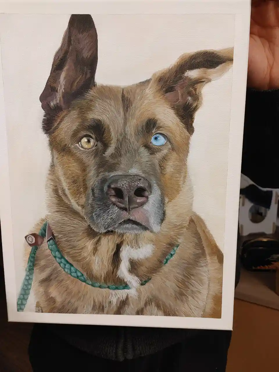 A person holds up a canvas painting of a dog with one blue eye and one brown eye, wearing a teal collar. The dog has tan and…