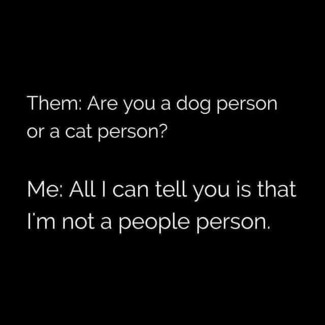 A black background with white text displays a humorous exchange: 'Them: Are you a dog person or a cat person?' followed by…