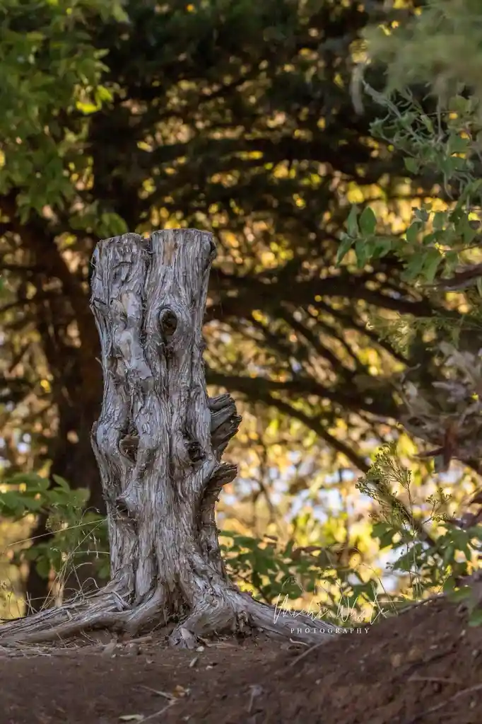 Feeling Stumped? Join the Club!