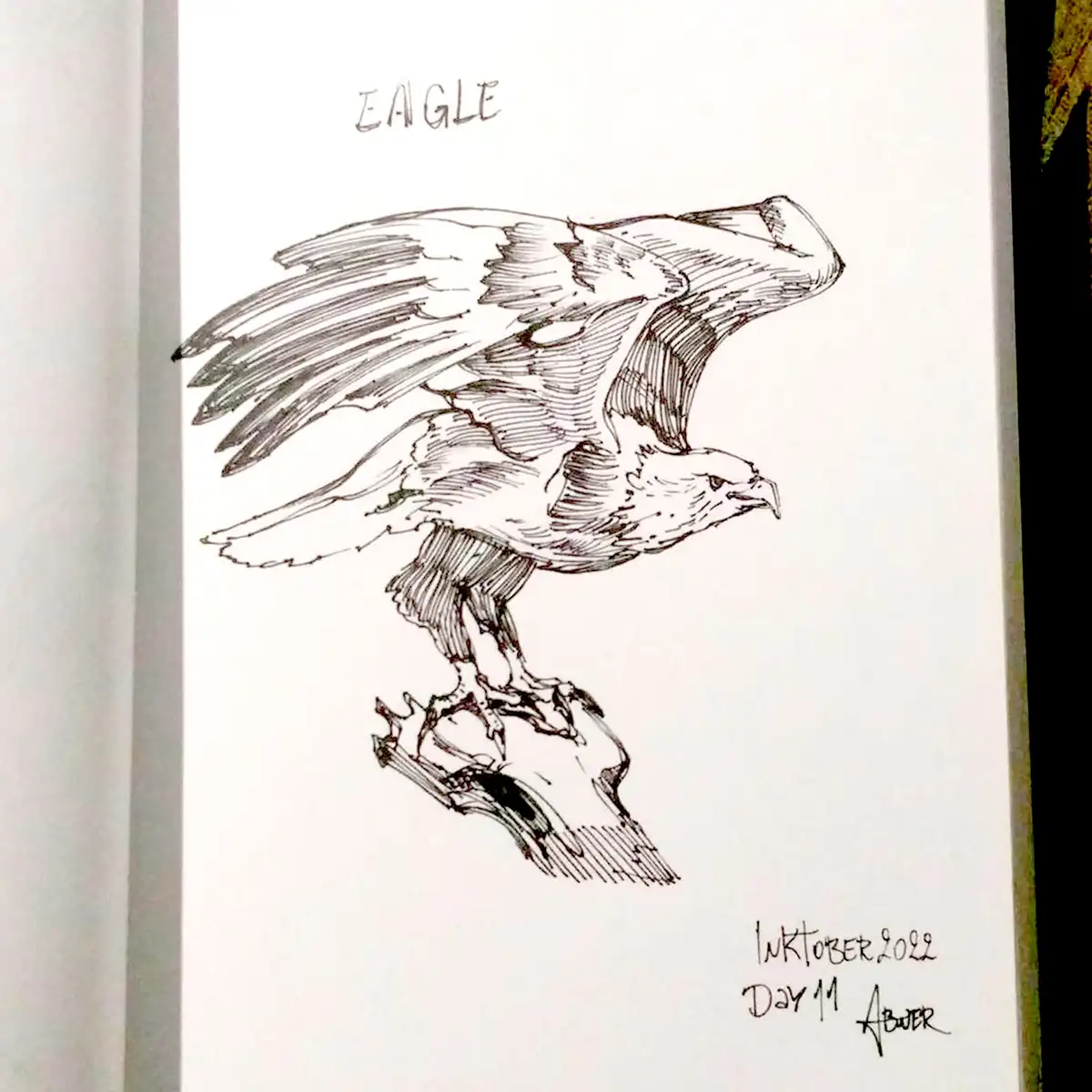 A black-and-white ink drawing of an eagle with outstretched wings perched on a skull, labeled 'EAGLE' at the top and dated…