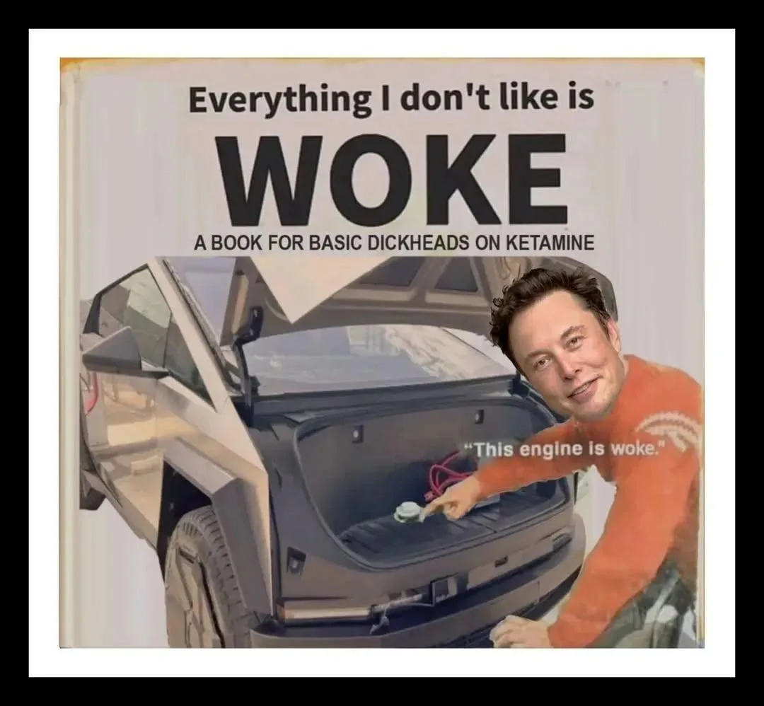 The image shows a book cover parody with the title 'Everything I don't like is WOKE' and subtitle 'A BOOK FOR BASIC…