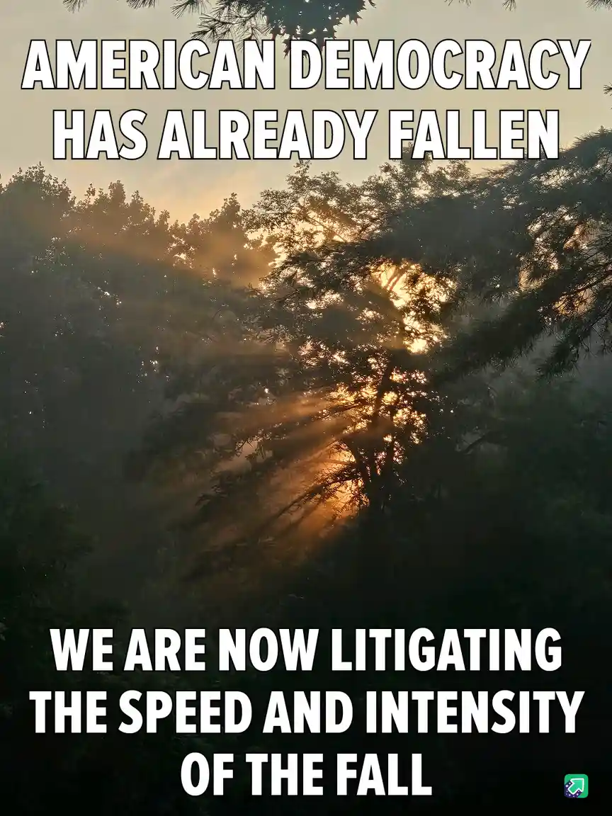A serene forest scene with sunlight streaming through trees, overlaid with bold white text declaring 'AMERICAN DEMOCRACY HAS…