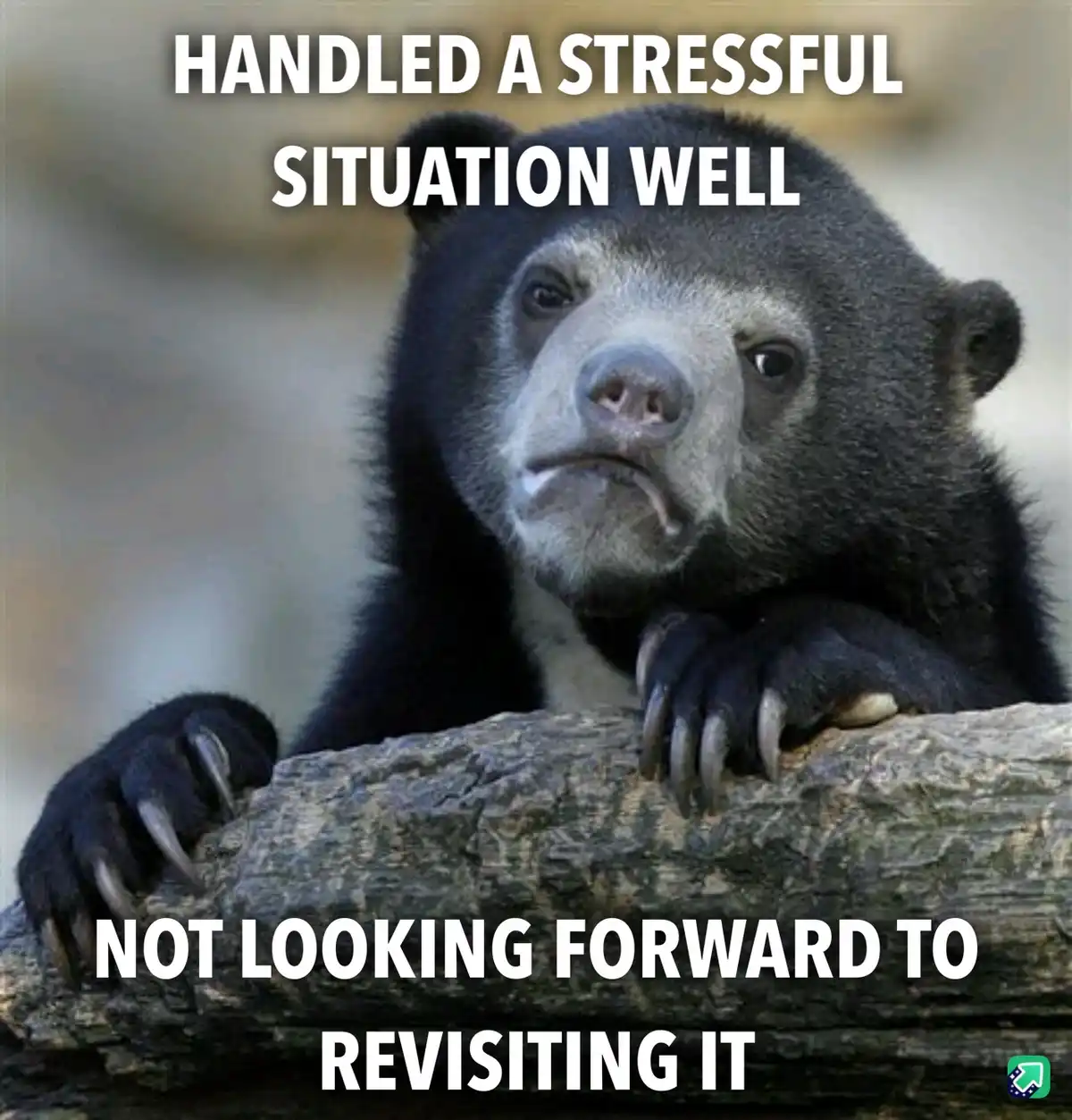 A close-up photo of a sloth bear with a weary, unimpressed expression, resting its paws on a log. White bold text overlaid…