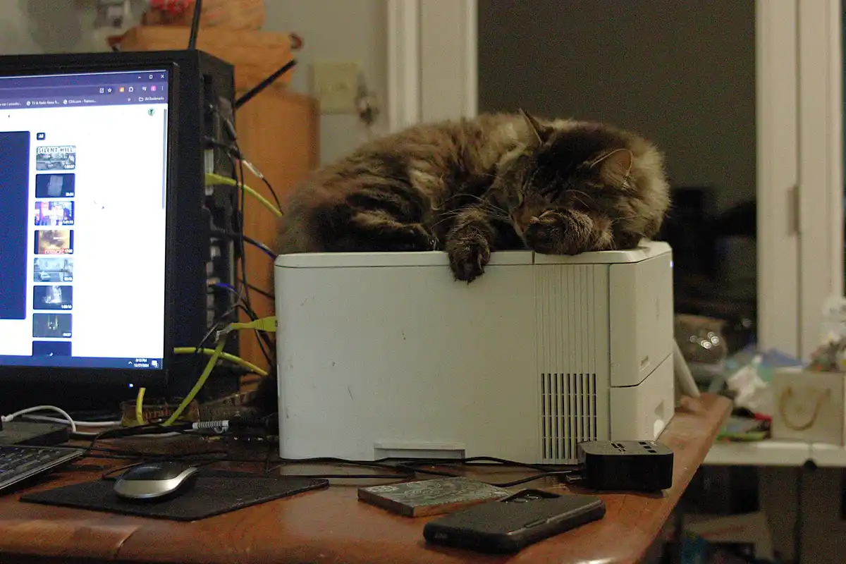 A fluffy, long-haired cat is curled up and sleeping soundly on top of a white printer on a cluttered wooden desk. To the…