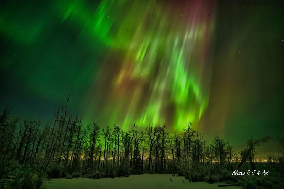 A stunning photograph of the aurora borealis, displaying vibrant green and purple ribbons dancing across a starry night sky…