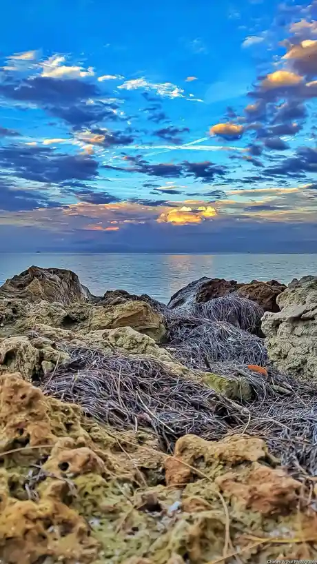 The Sunshine State: A Glimpse into Florida