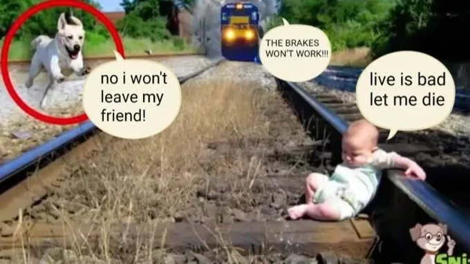 A baby sits on train tracks as a train approaches, saying 'live is bad let me die'. A dog runs beside the tracks, saying 'no…