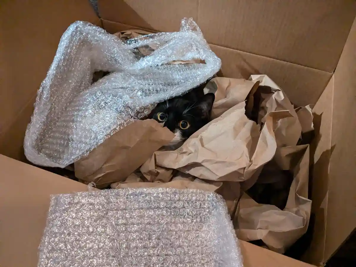 A black and white cat peeks out from inside a cardboard shipping box, partially covered by crumpled brown paper and bubble…