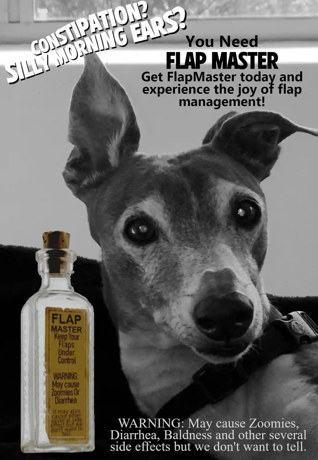 A black-and-white photo of a dog with one ear perked up and the other flopped down, next to a bottle labeled 'FLAP MASTER'…