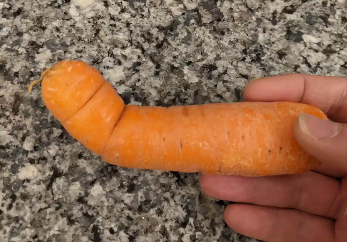A hand holds an orange carrot with a noticeable bend near its top, resembling a curved phallus, against a speckled gray and…