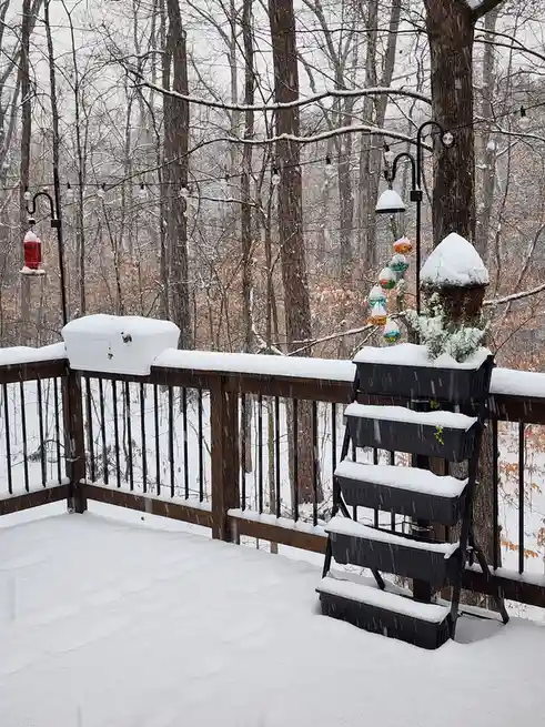 Winter's Gift: A Beautiful Blanket of Snow!
