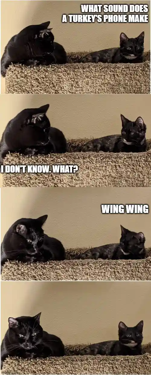 Meet Splunk and Smudge: The Dynamic Duo