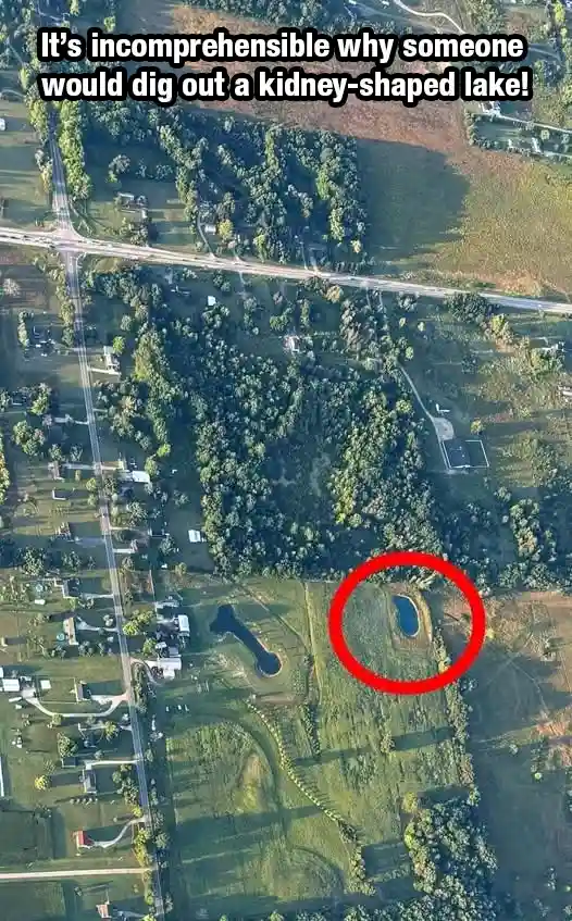 An aerial satellite image shows a rural landscape with roads, houses, and green fields. A red circle highlights a small…