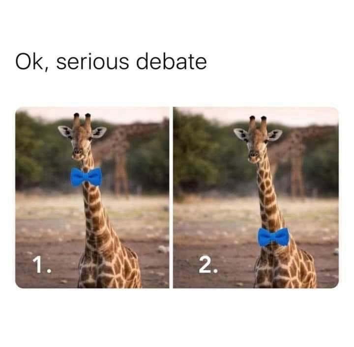 Two side-by-side photos of a giraffe wearing a blue bowtie, labeled '1.' and '2.' under each. The top text reads 'Ok…