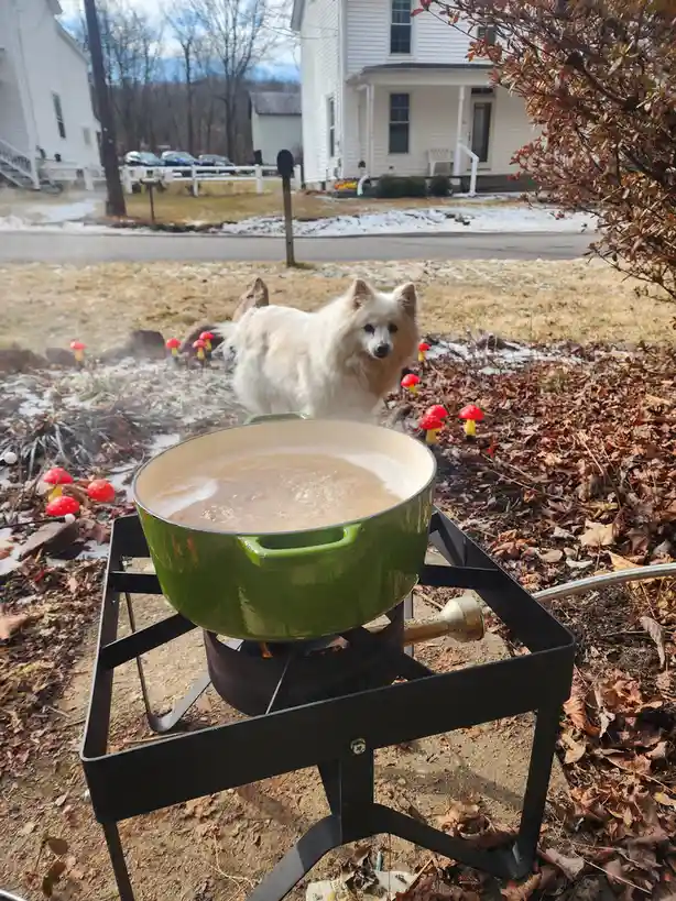 A fluffy white dog stands in a yard with patches of snow and fallen leaves, looking at a green pot of boiling liquid on a…