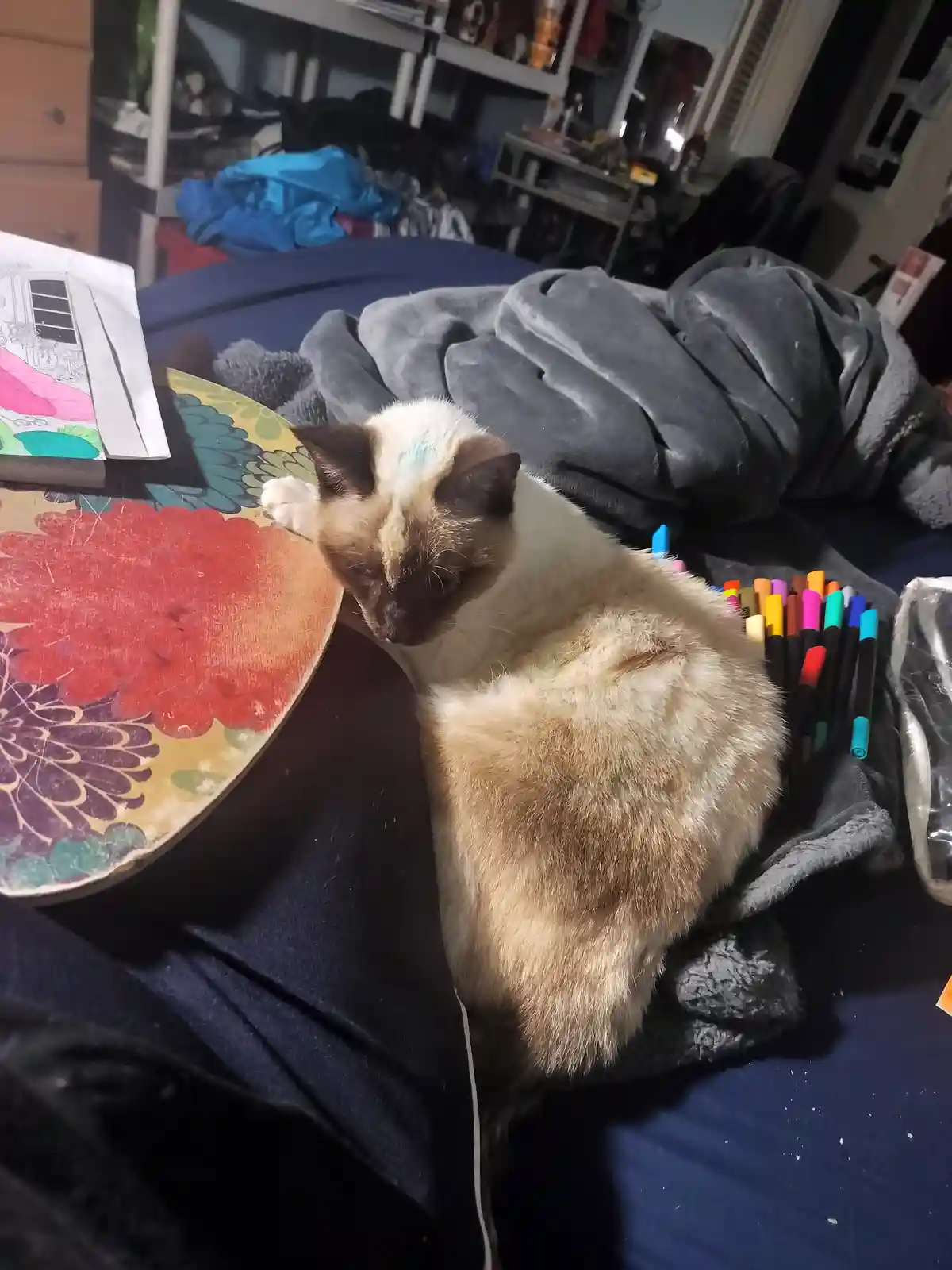 A siamese cat is curled up on a bed next to a coloring book and a pile of colorful markers, with a small blue marker stain…