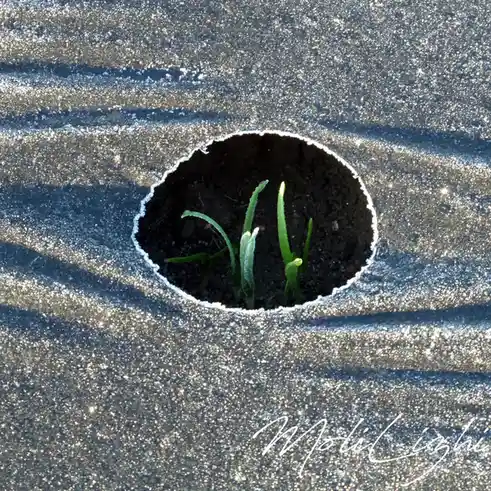 2024: A Year of Surprising Twists and Turns